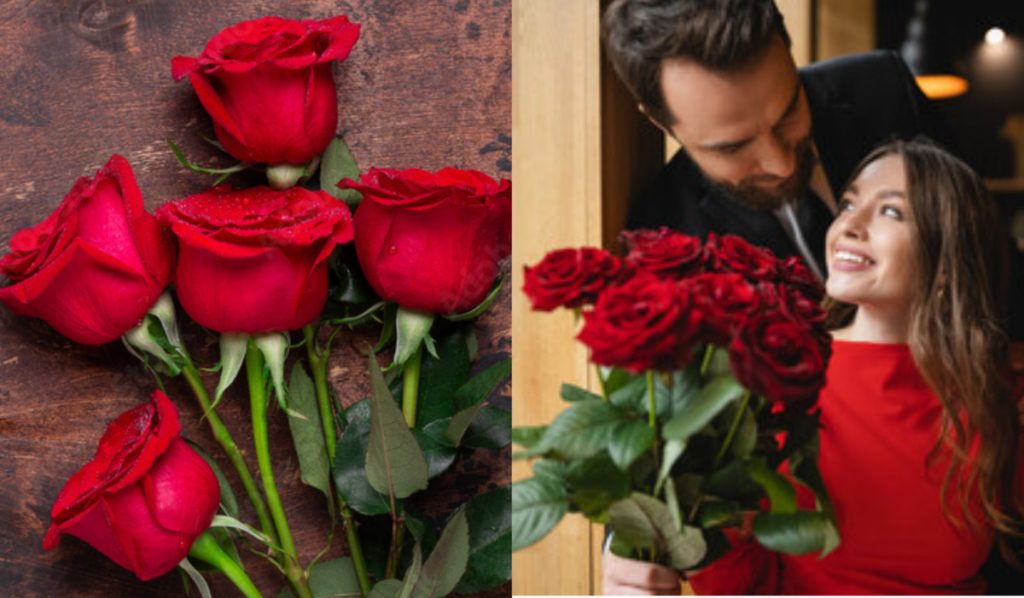 Collage maker 06 feb 2023 03