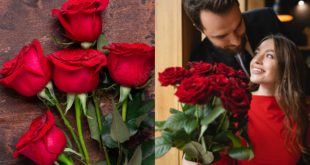 Collage maker 06 feb 2023 03